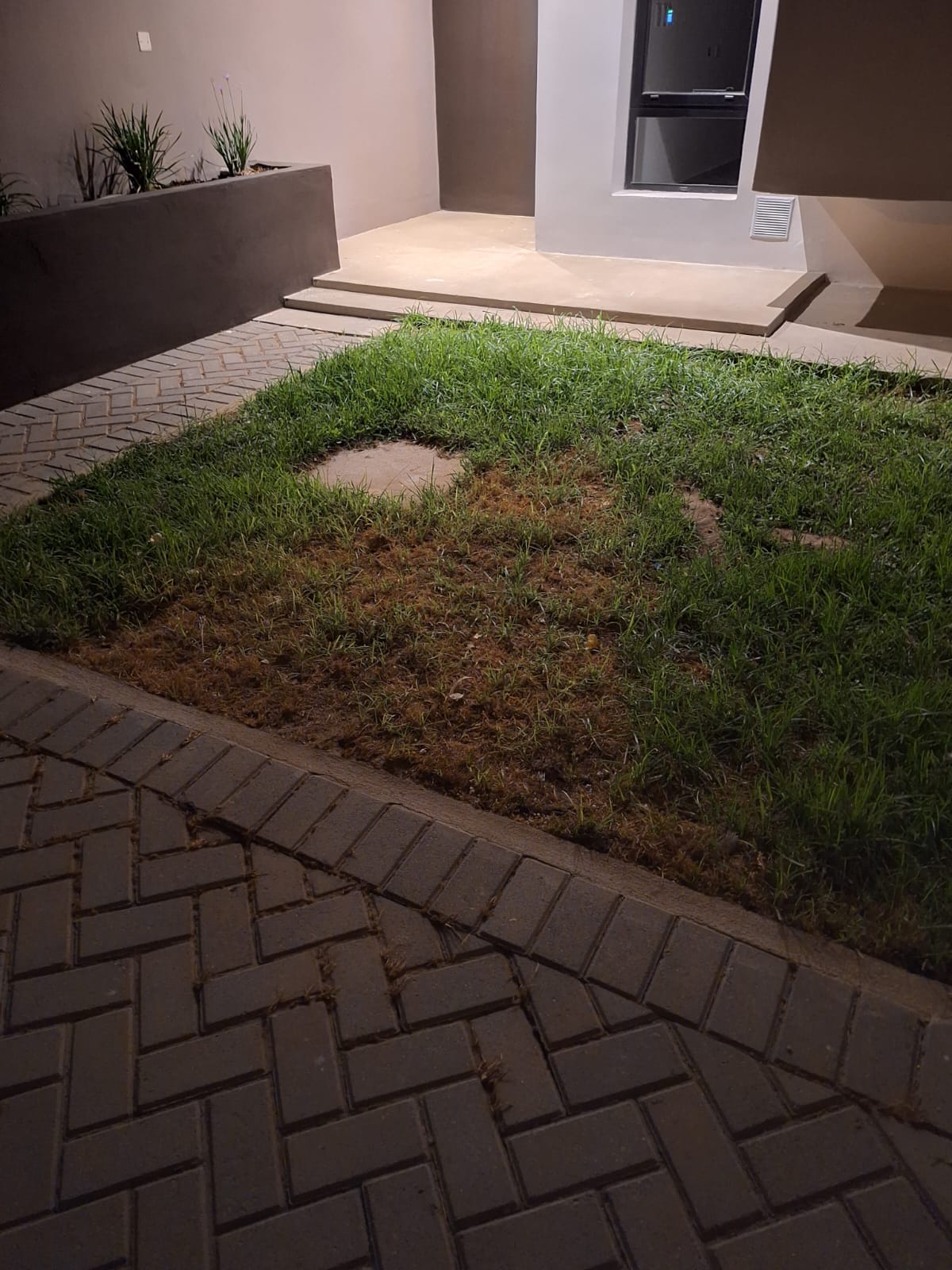 3 habitaciones · cochera · patio amplio con asador - foto 10