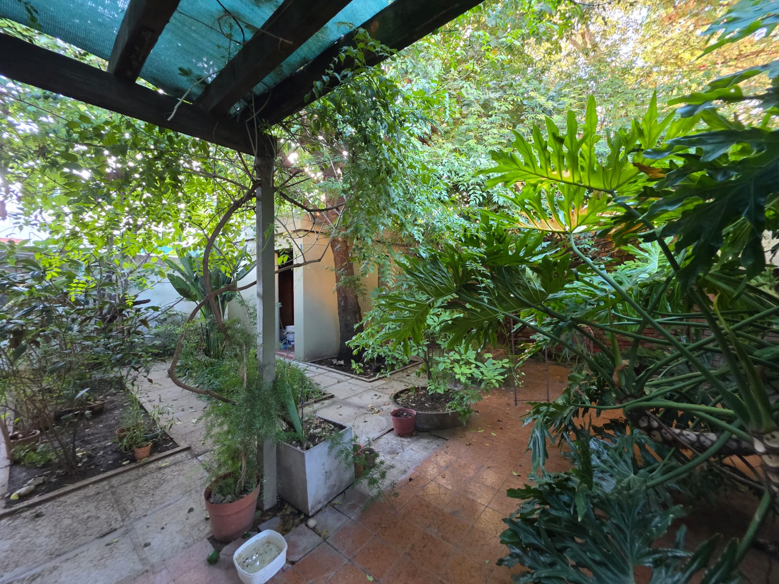 3 habitaciones · 1 baño · Estar/Comedor integrados · Cocina · Lavadero · patio con pieza de guardado · 231m2 terreno - foto 8