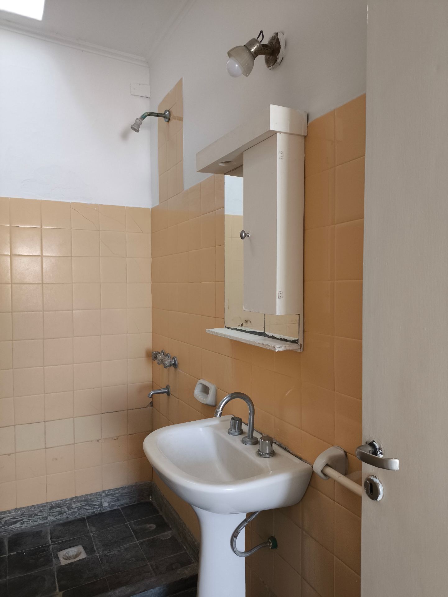 2 dormitorios (1 con Placard) · cocina · comedor · baño · lavadero · patio · escritura - foto 12