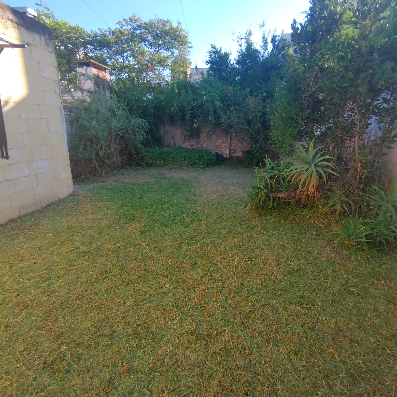 3 dormitorios · cocina · comedor · estar · living · garaje · patio con deposito · lote 355m2 · superf. Cubierta 156m2 - foto 11