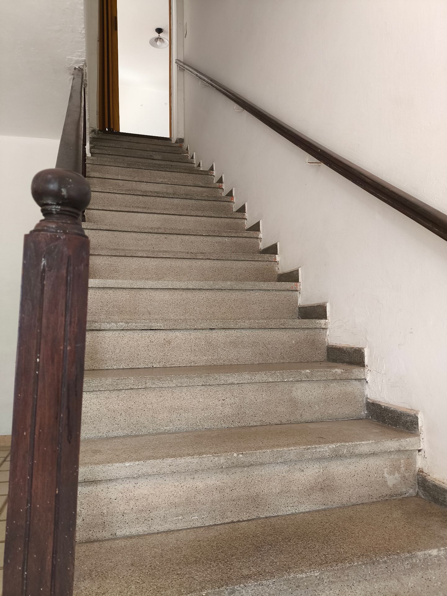 Local comercial · 3 baños · cocina · sector de producción · garaje · dpto 1 dormitorio con terraza - foto 13
