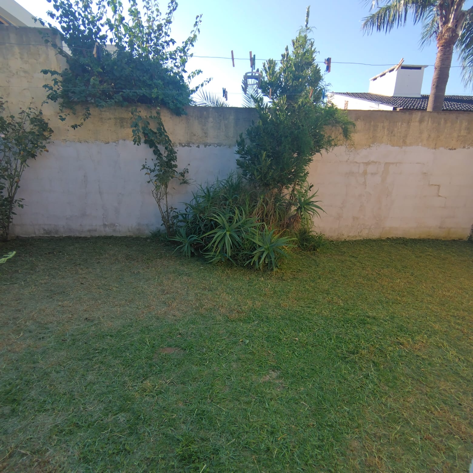3 dormitorios · cocina · comedor · estar · living · garaje · patio con deposito · lote 355m2 · superf. Cubierta 156m2 - foto 12
