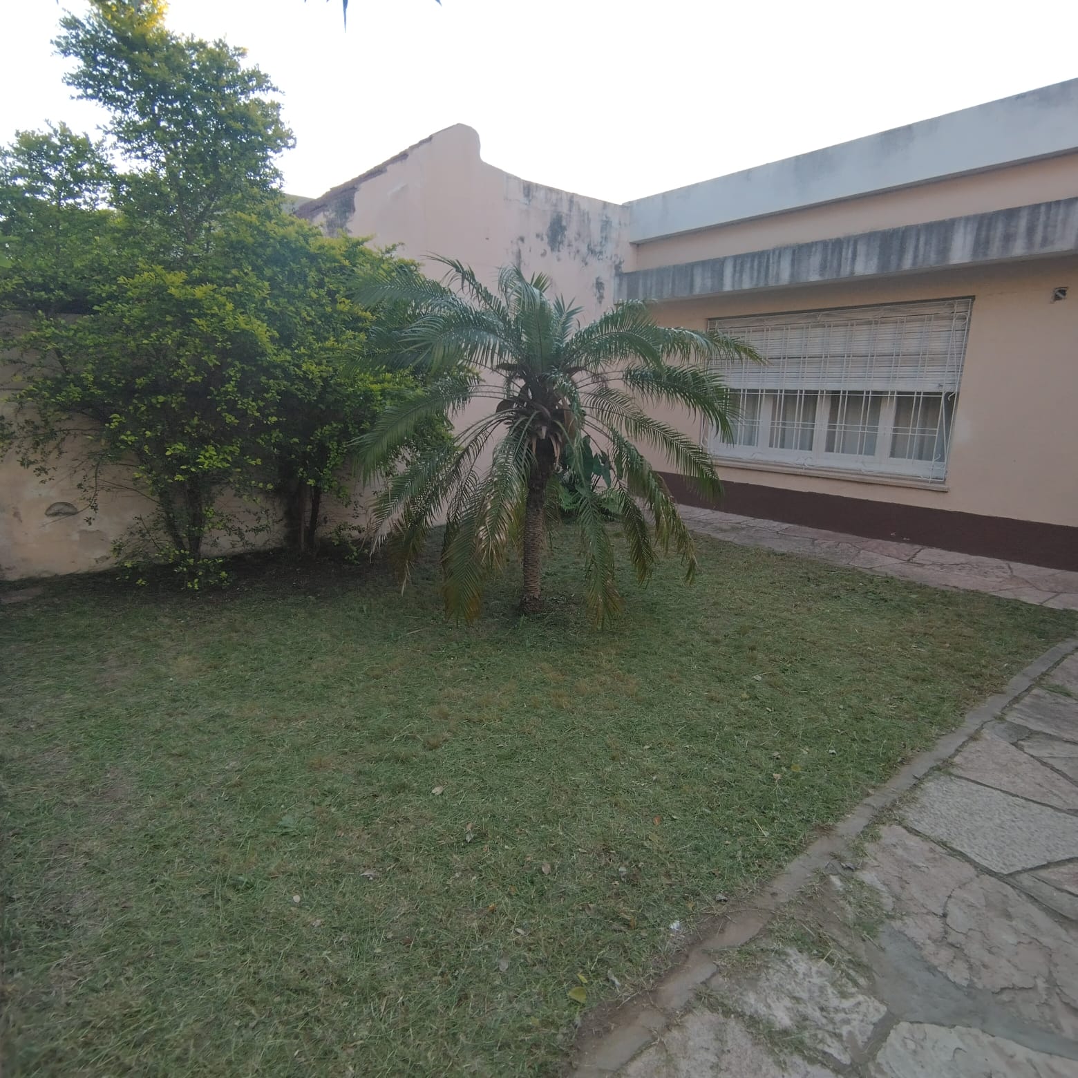 3 dormitorios · cocina · comedor · estar · living · garaje · patio con deposito · lote 355m2 · superf. Cubierta 156m2 - foto 9
