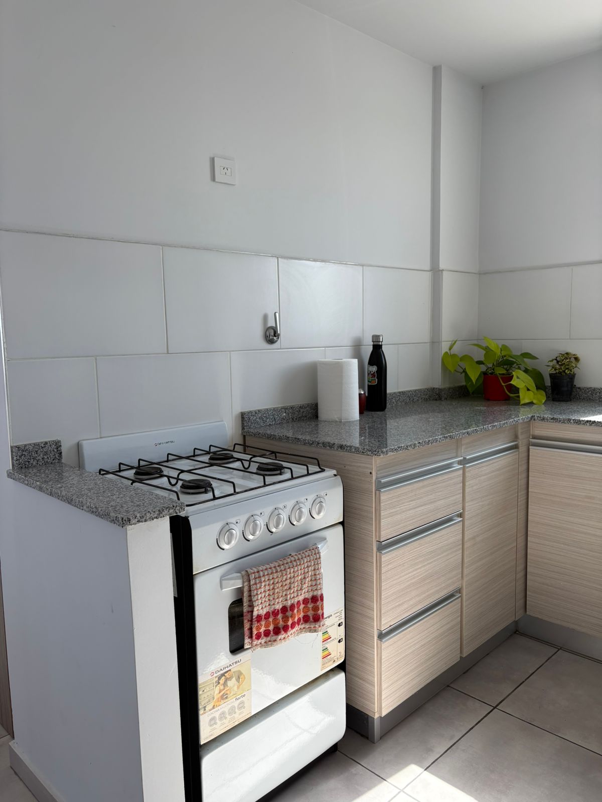 2 dormitorios ( ambos con Placard) · baño y ante baño · cocina · living comedor · gran balcón · cochera · escritura - foto 10