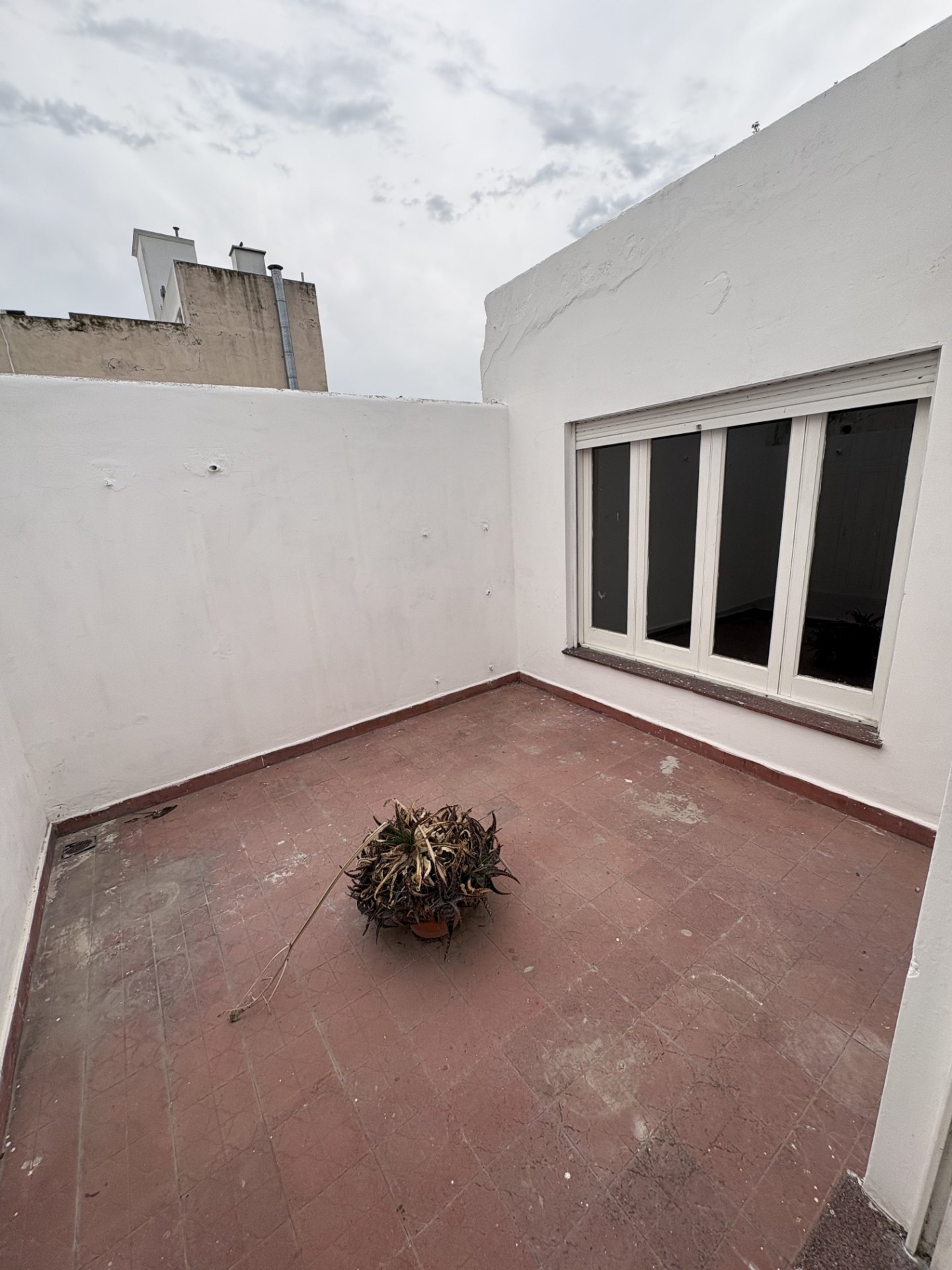 2 dormitorios con placares · cocina amplia con amoblamiento · living comedor · baño nuevo y patio de Luz. - foto 2