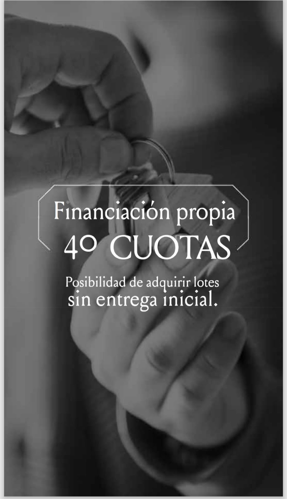 DESARROLLO · Desde 300m2 - foto 7